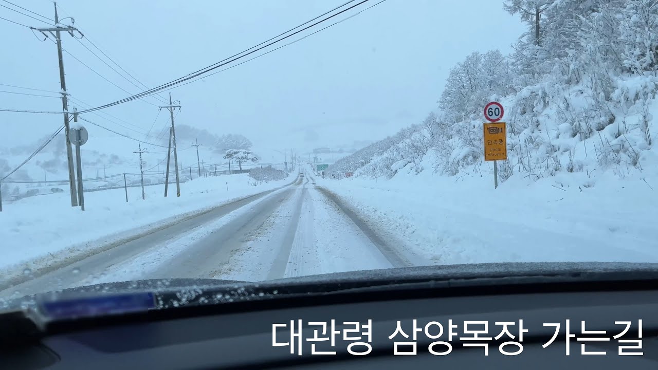 대관령 눈오는날 삼양목장가는길 주행영상