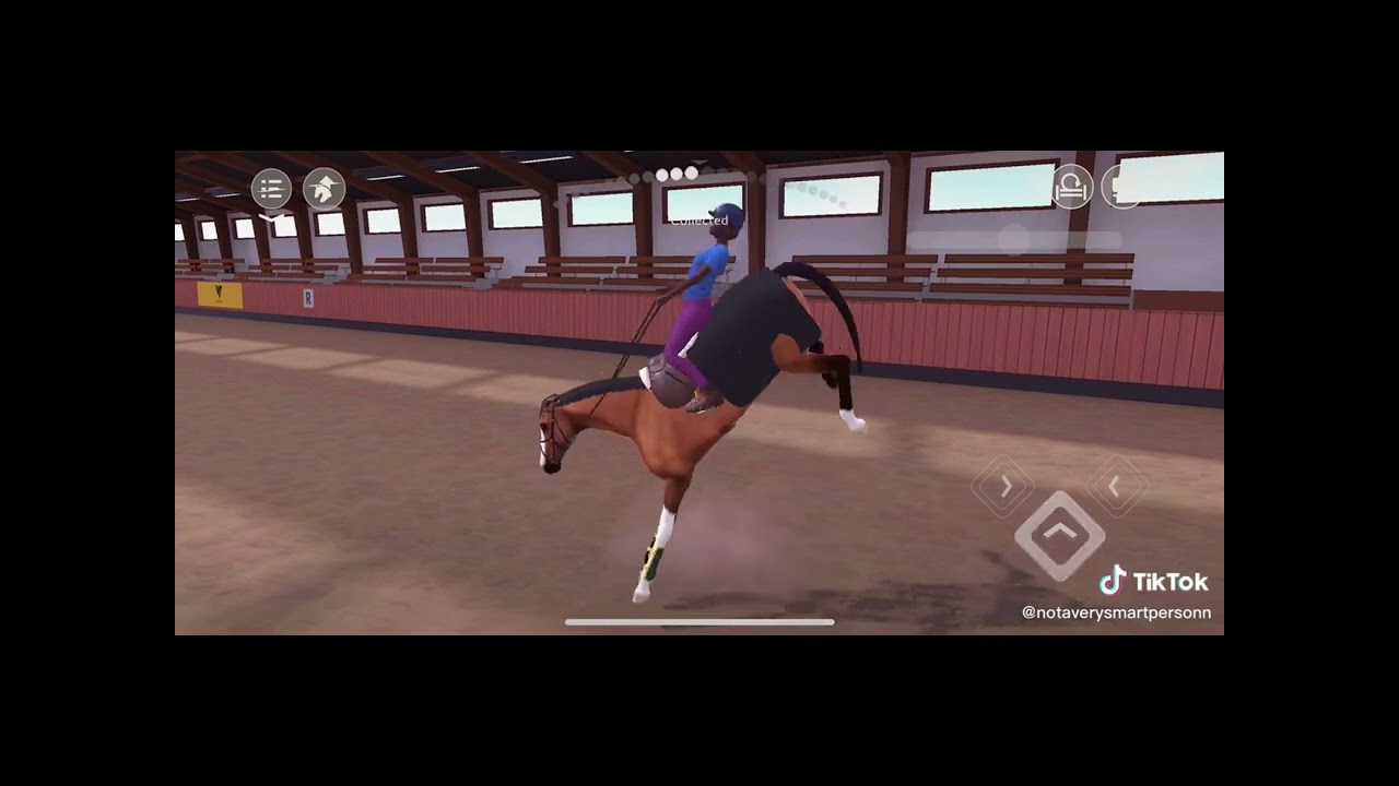Equestrian the game TikToks 🐎￼