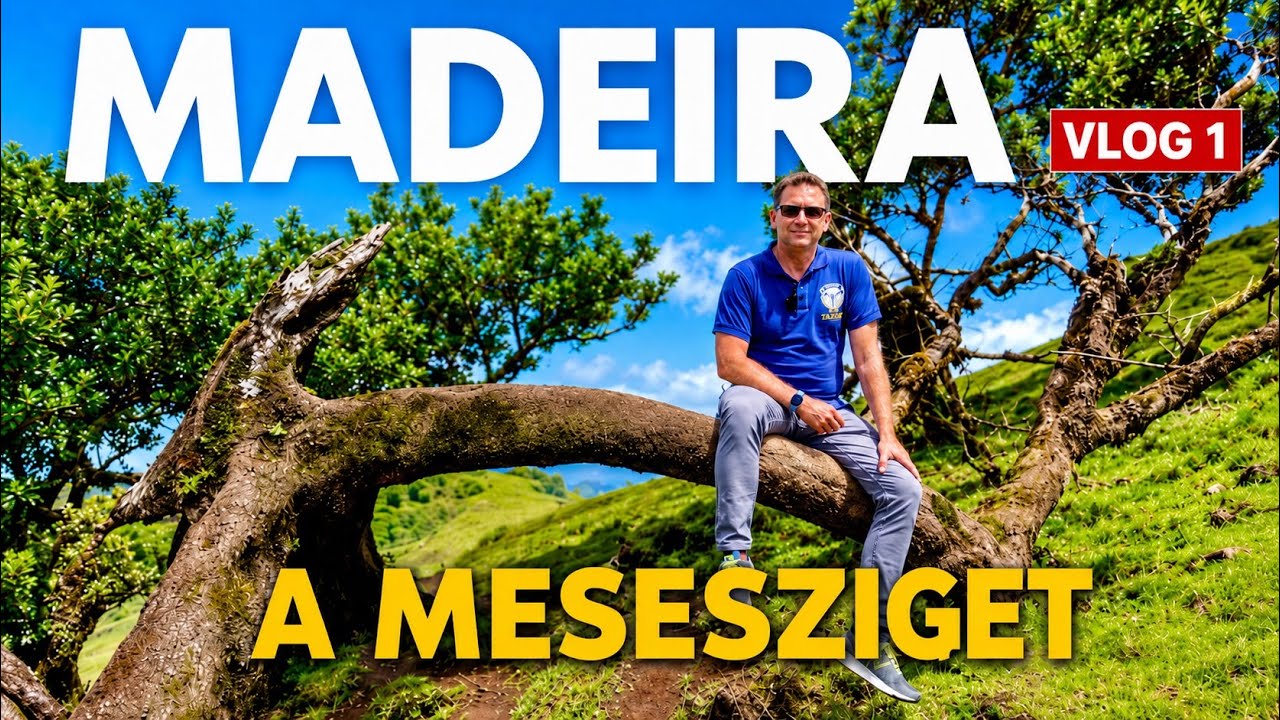 Madeira Vlog 1.rész: Repülés, Autóbérlés, Szállás, Árak, Tippek, Mesés helyek #madeira #utazás