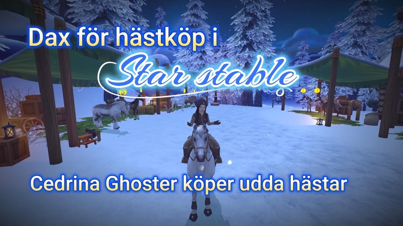 Dax för hästköp i Starstable. Cedrina Ghoster köper udda hästar!