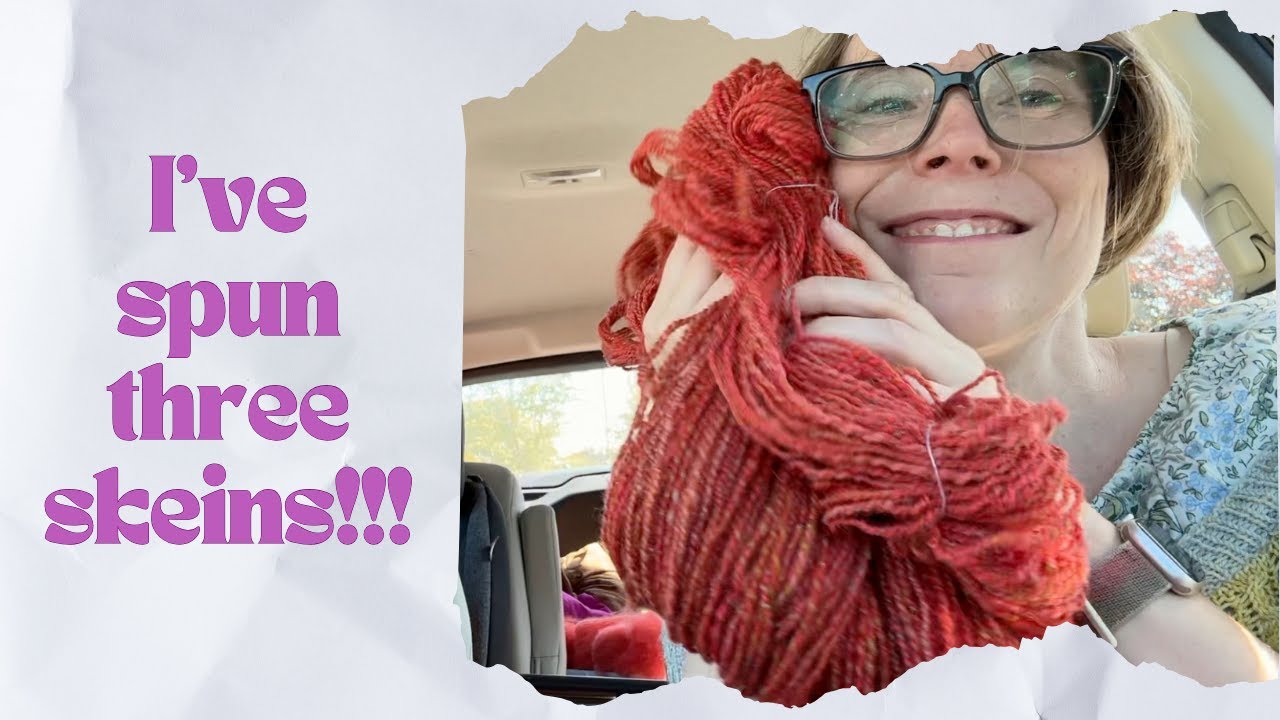 Tour de Fleece 2025 Week 2 - More skeins!