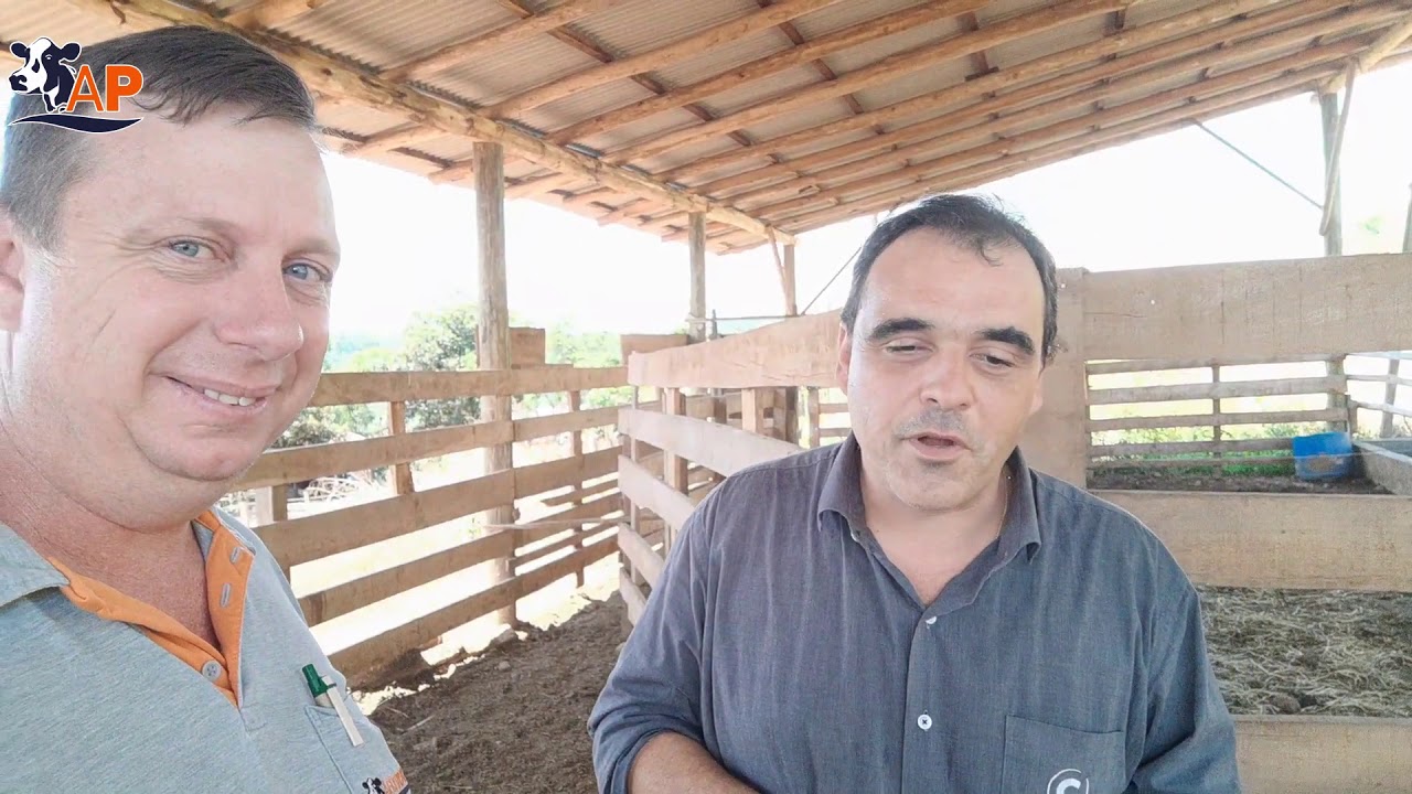 Tristeza Parasit&aacute;ria, o que fazer.