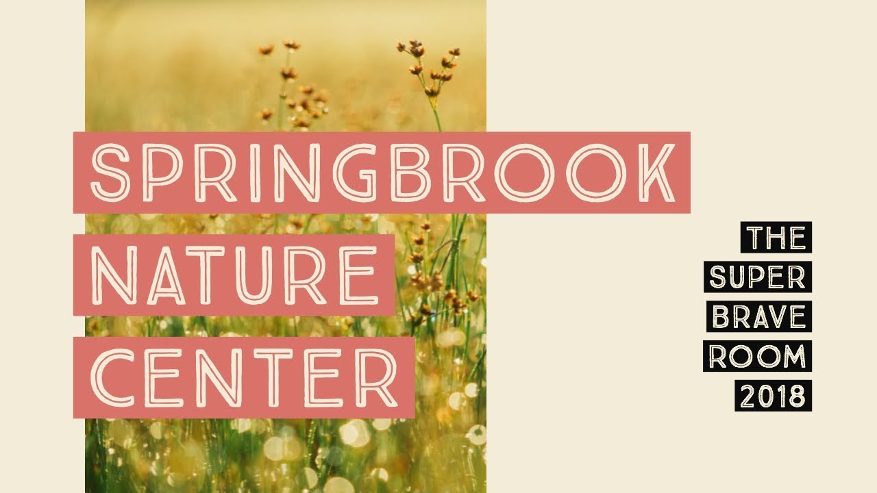 Springbrook Nature Center | The Super Brave Room | 2018
