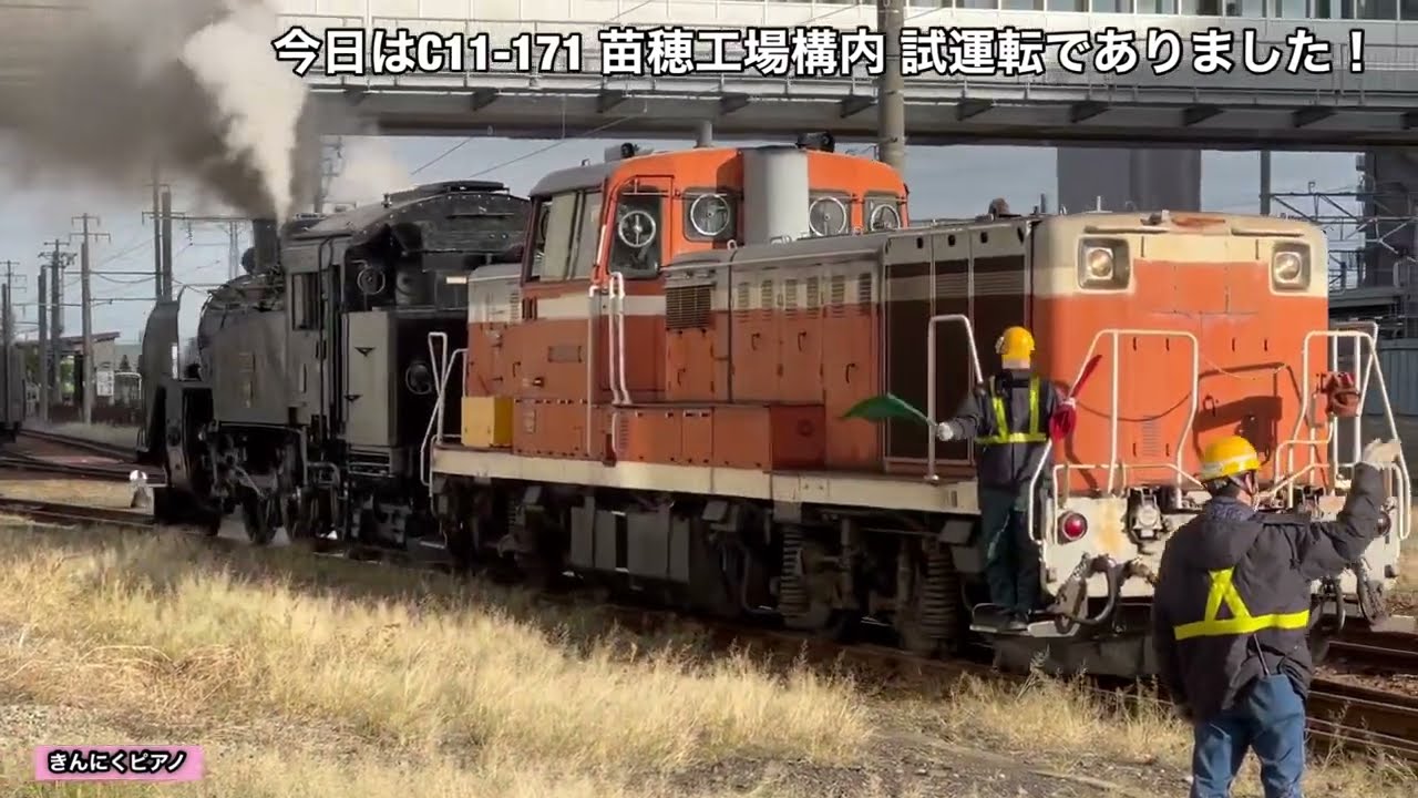 【現代の苗穂工場に広がる蒸気機関車の煙！？】C11-171蒸気機関車の力強い走り！2023/11/15