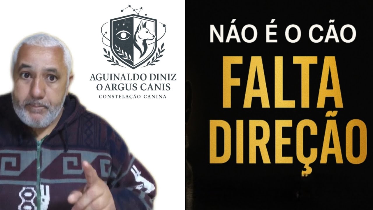 Seu c&atilde;o n&atilde;o &eacute; o problema: falta DIRE&Ccedil;&Atilde;O na sua casa