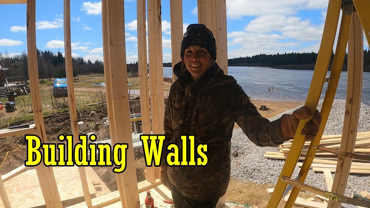 My Old Off Grid Cabin Now has WALLS (Ep 6)