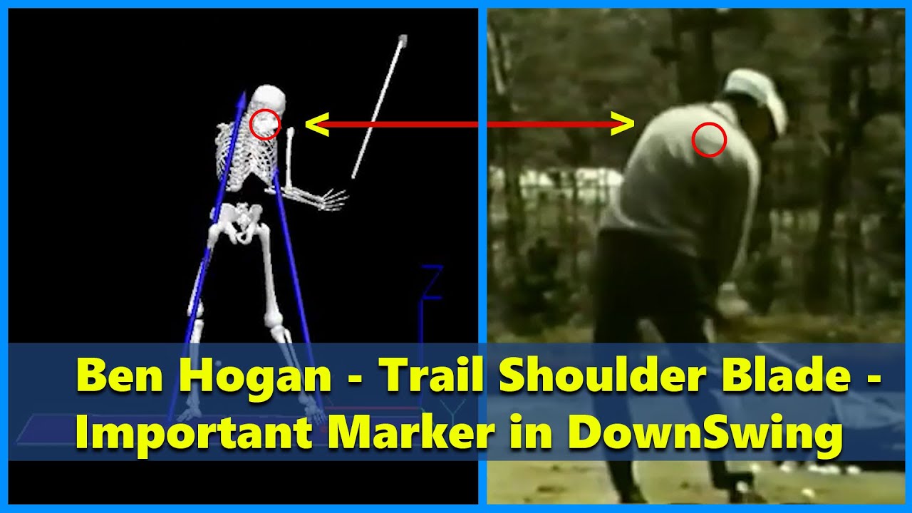 Ben Hogan - Power of Trail Shoulder Blade 👍🤯👍🤯