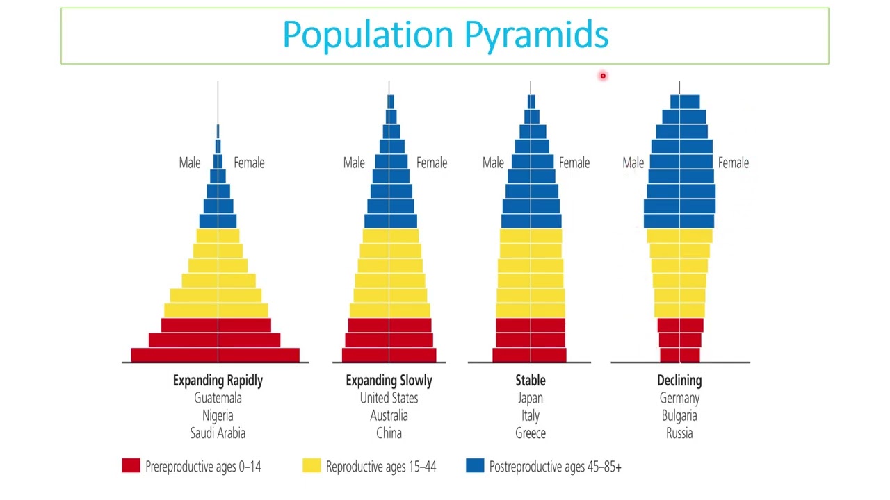 ESS Topic 8 Populations and Urbanisation in less than 60 minutes