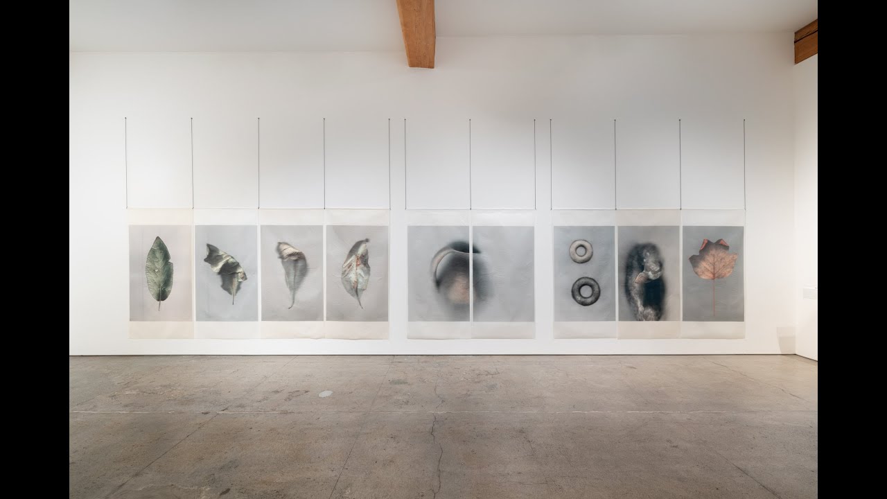 Ann Hamilton – Sense