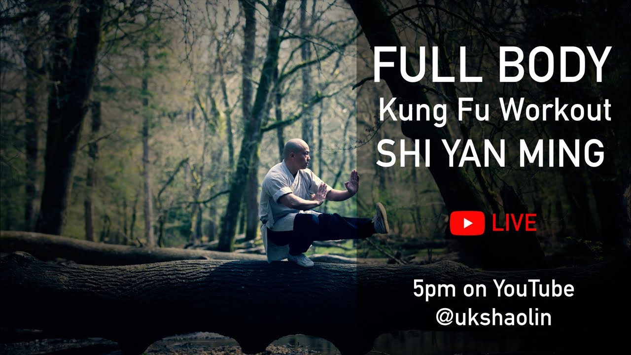 Full body Kung Fu workout at home