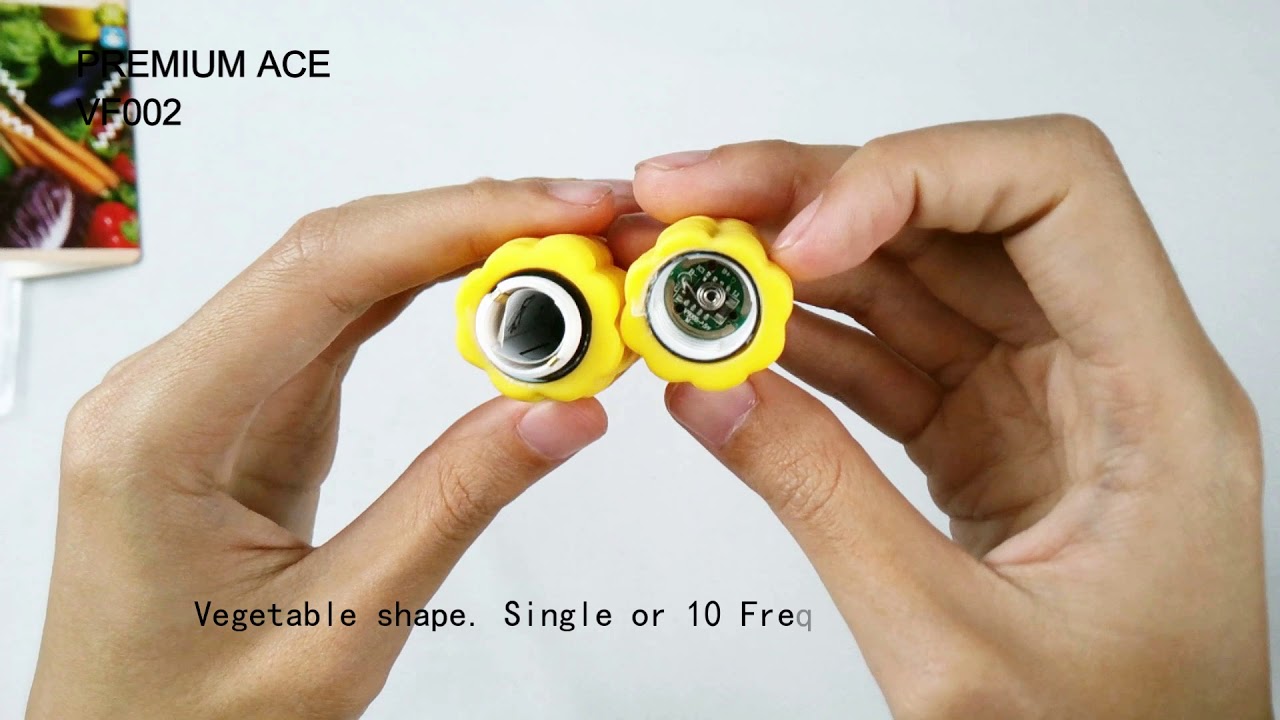 VF002, Vibrator (Vibrador)