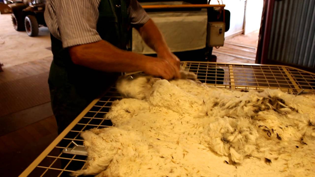 Removing the wool from the net - BioClip
