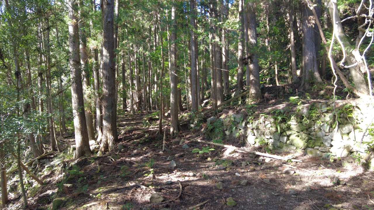 元行野｜約260年ほどかけて波の静かな開墾地へと徐々に住民が移っていったという荒磯な海辺の廃村、元行野(もとゆくの)探索　尾鷲市行野浦