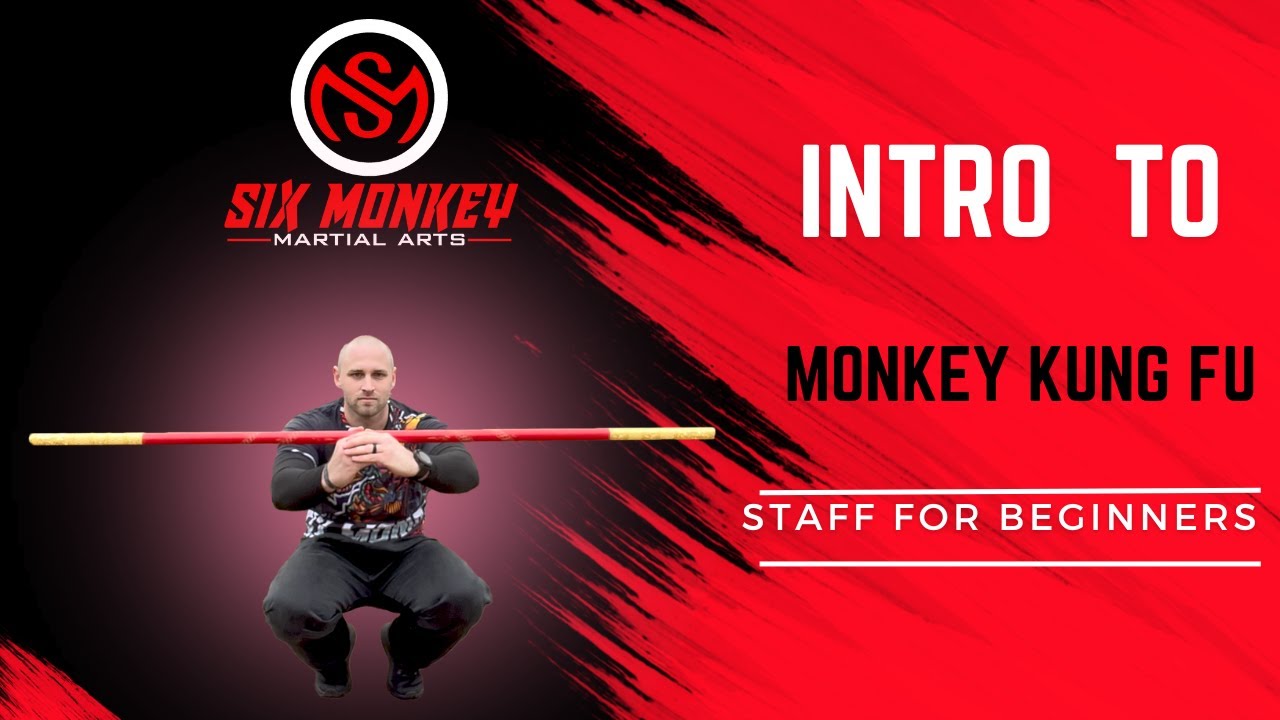 Intro to Monkey Kung Fu Staff