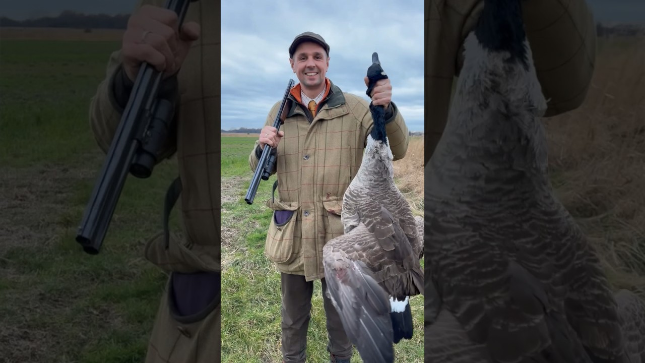 Nowe gatunki! #chasse #polowanie #hunting #jagd #drivenhunt #pheasanthunting