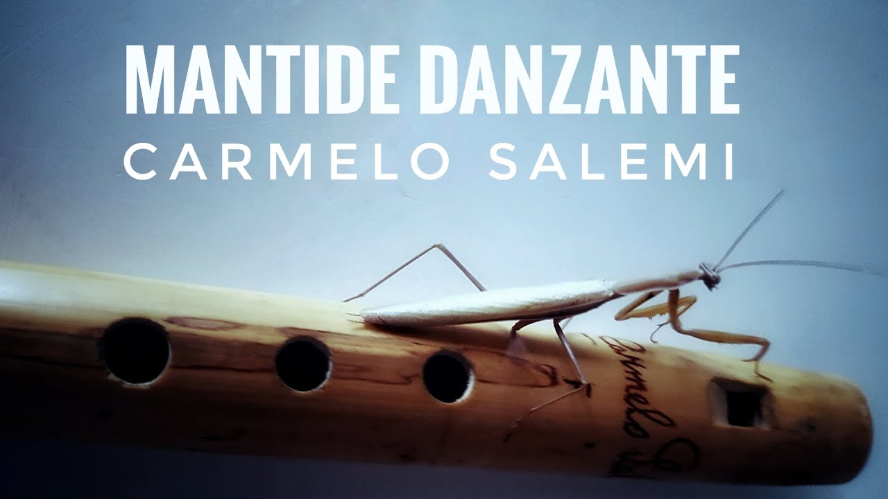 CARMELO SALEMI - Mantide Danzante - friscaletto