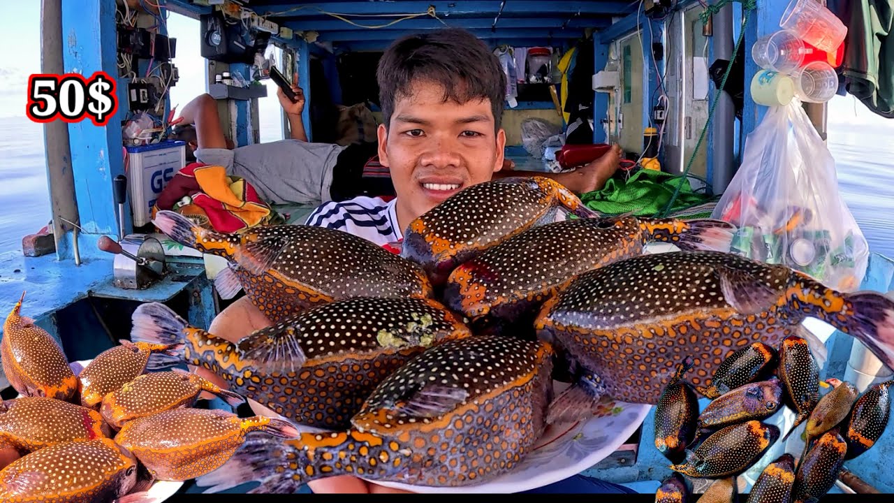 Anh Em Dùng 5KG Cá BÒ HÒM Độc Lạ Trị Giá 300k/1KG Ăn Để Có Sức Lặn Biển