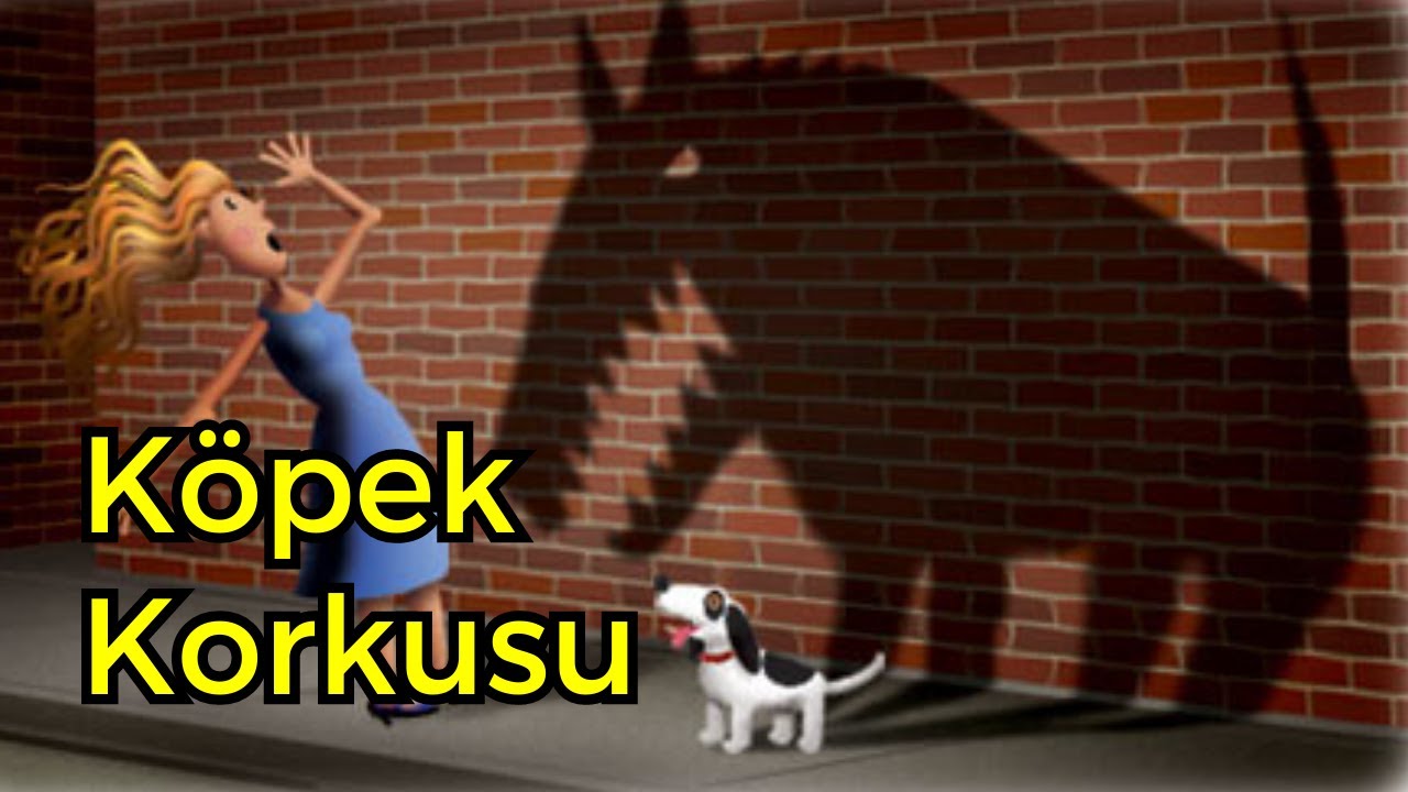 K&ouml;pekten Korktuğunu Belli Etme (!)