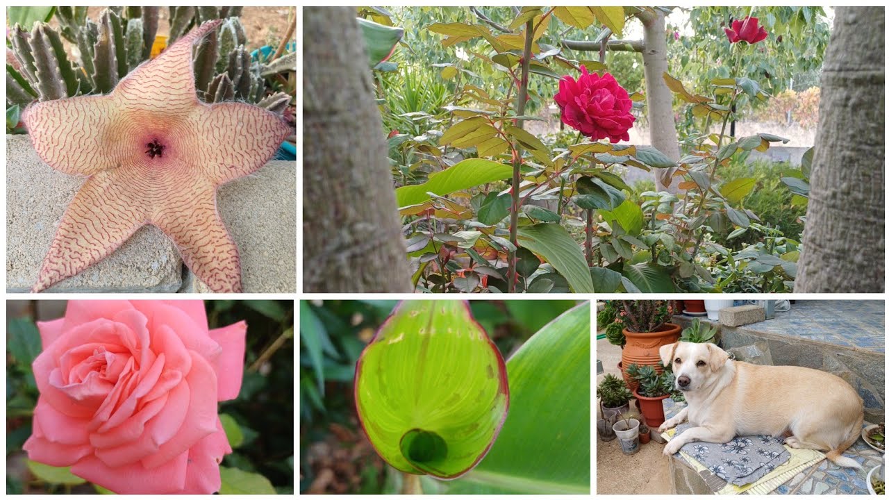 Олины Истории 🏜 Влог 