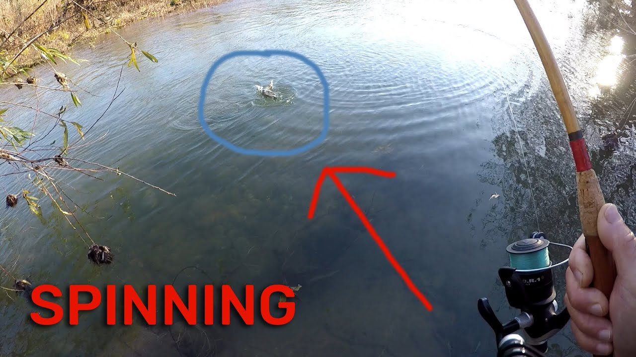 PESCARE A SPINNING NEL FIUME - Pesca con Minnow