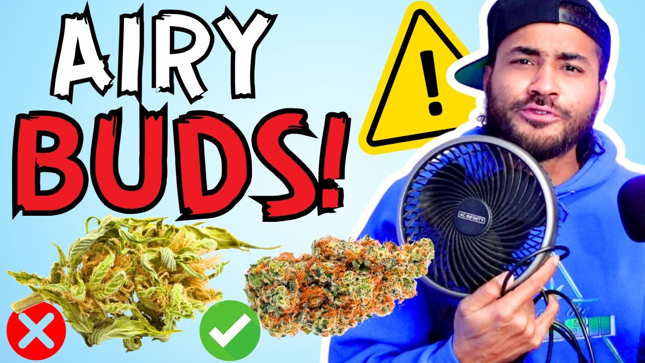 5 Reasons Why Your Yields Probably SUCK! 🤮