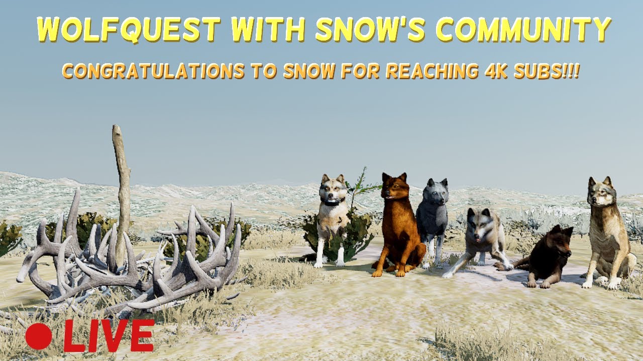 WolfQuest Multiplayer! | Celebrating Snow For Getting 4K Subs! | PLAYING WITH HER COMMUNITY!