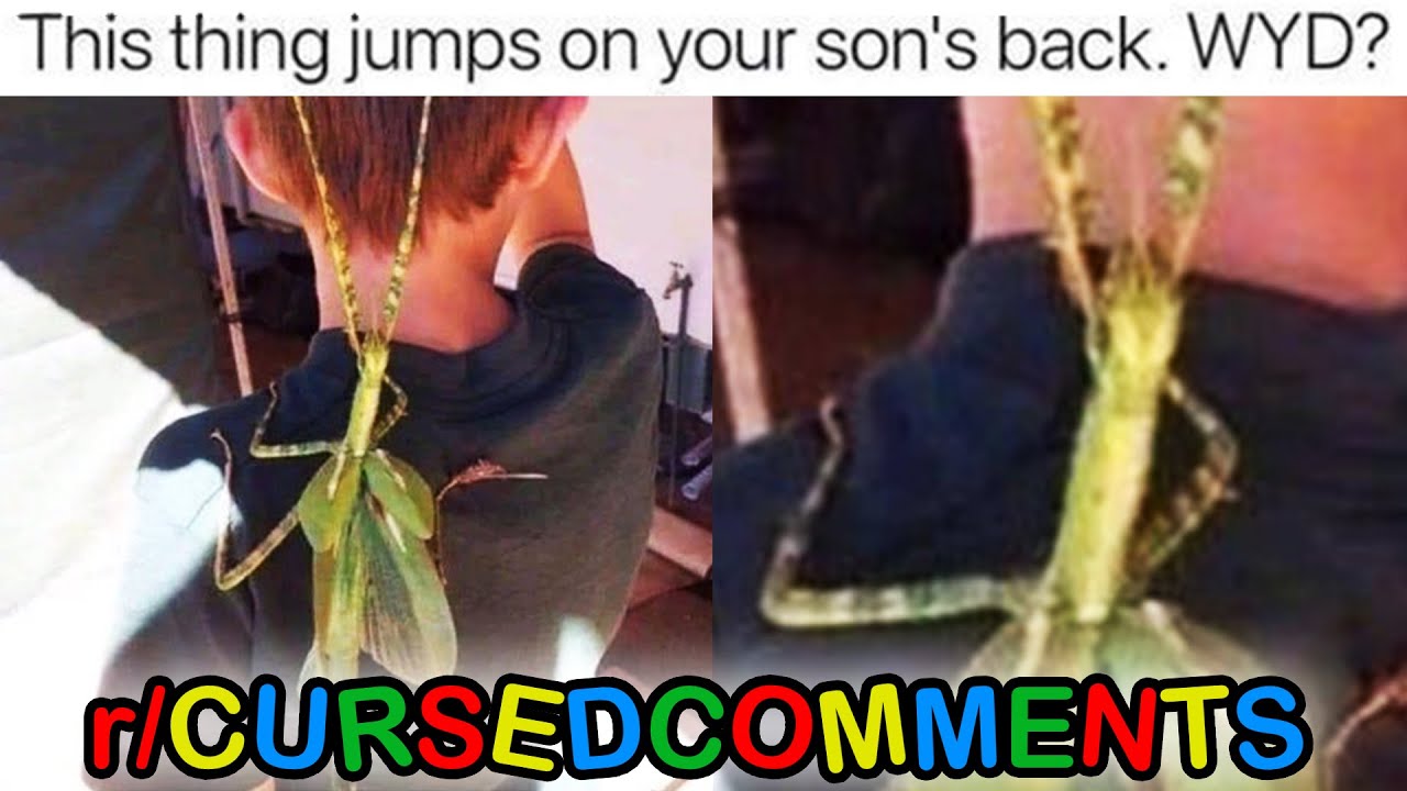 r/Cursedcomments · he was a good son while it lasted