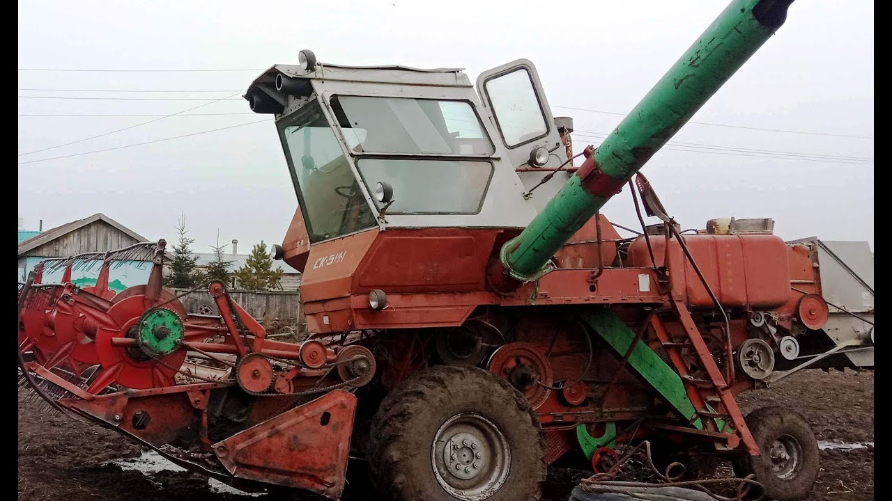 Подсолнечник. Экономика: сколько стоил эксперимент? №41