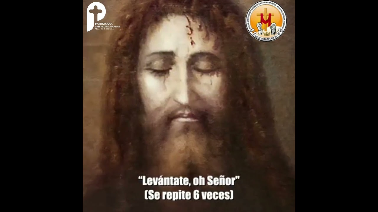 DEVOCIONES CAT&Oacute;LICAS: CORONILLA DEL SANTO ROSTRO.Esta hermosa pero desconocida coronilla