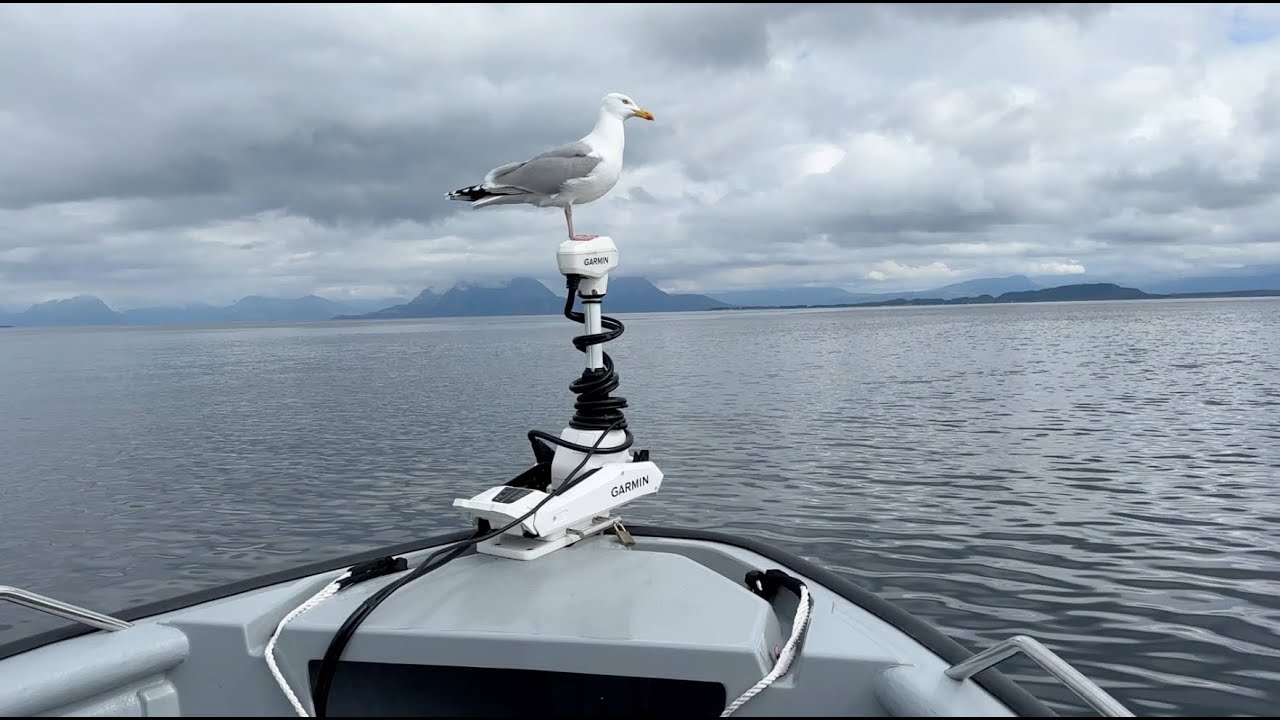 Hva er en baugmontert dorgemotor? | Garmin Force Kraken forklart