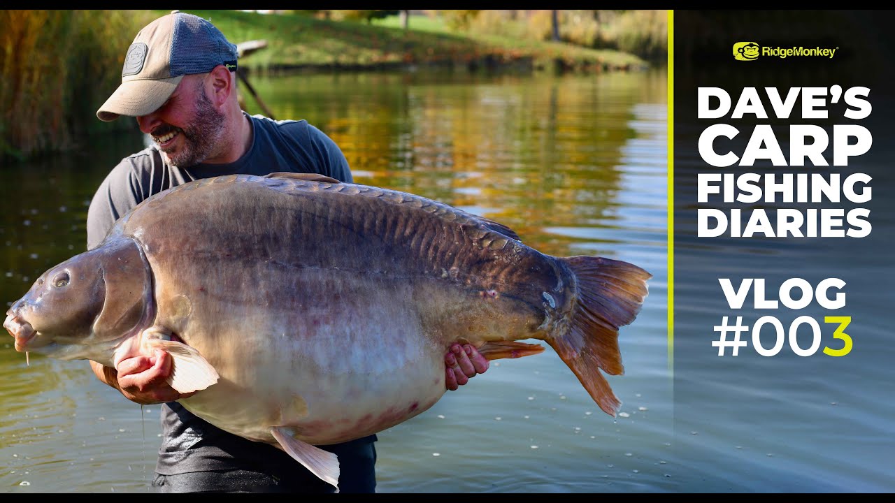 100lb CARP: Dave's Carp Fishing Diaries #003