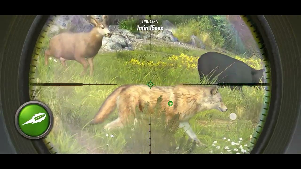 Silent hunt all the animal 😲😲😲