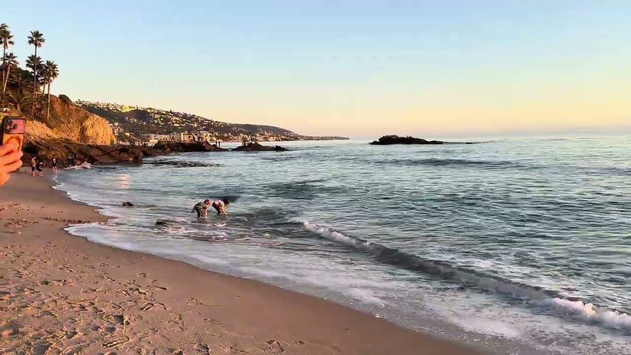 Relaxing Nature Sounds/Peaceful Moments 🌊🙂‍↔️