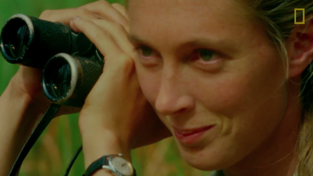 Becoming Jane: The Evolution of Dr. Jane Goodall