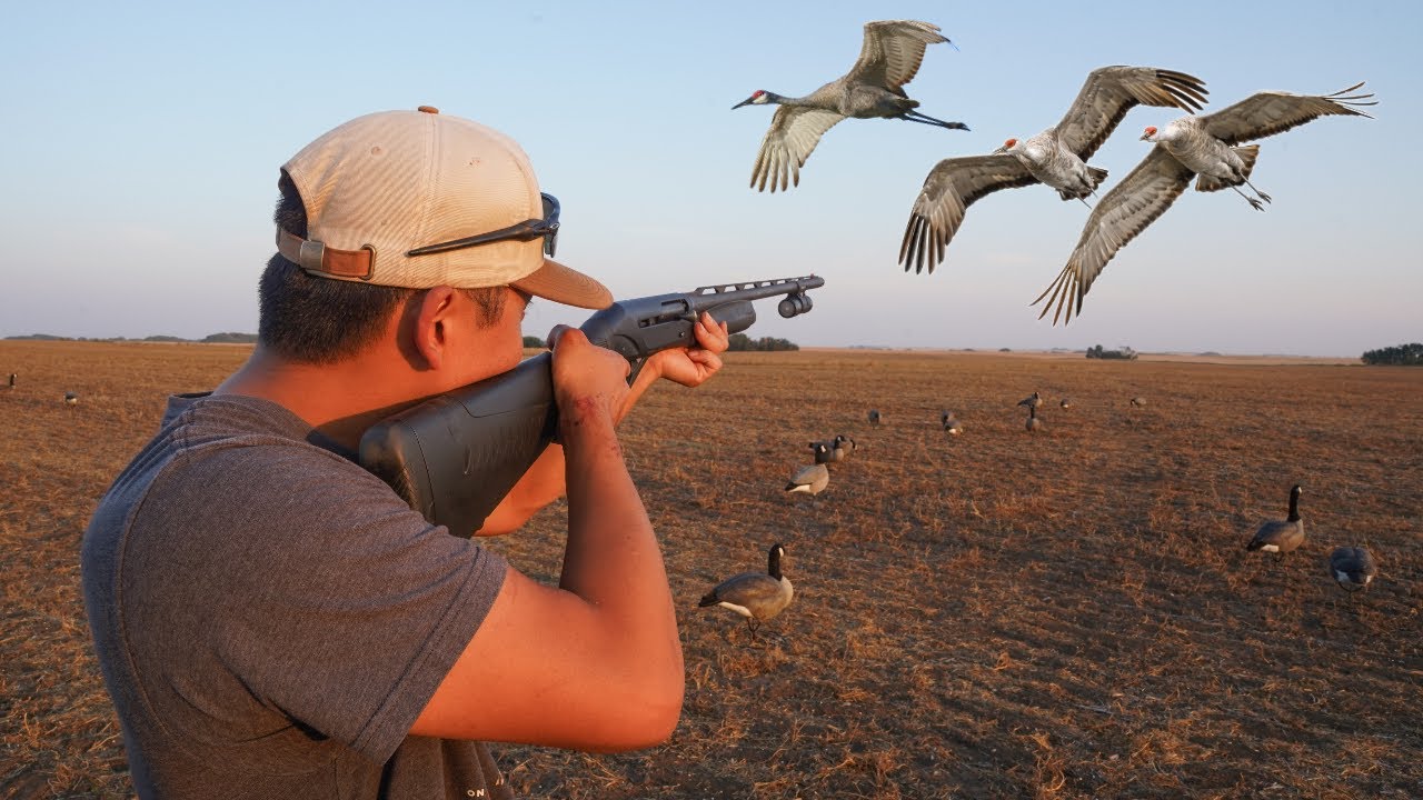 Sandhill Crane Hunting CATCH CLEAN COOK! (Ribeye Of The Sky)