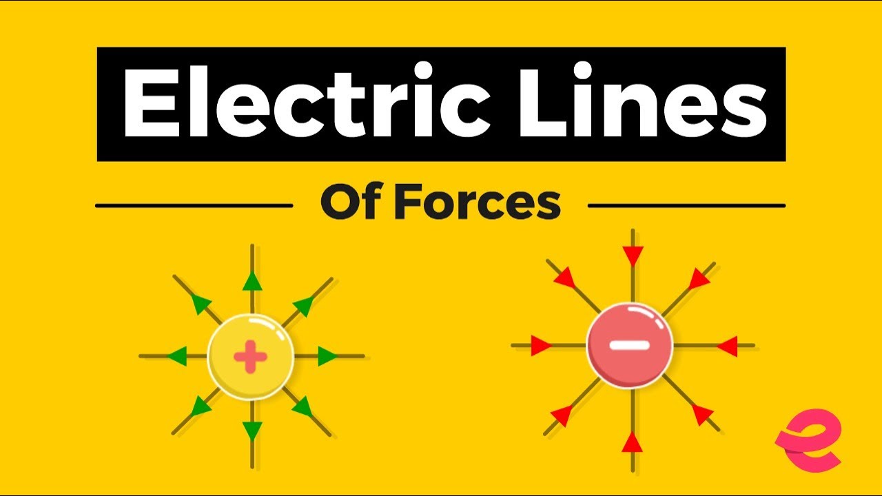 Electric Lines of Force | Class XII | IIT JEE | NEET | Physics