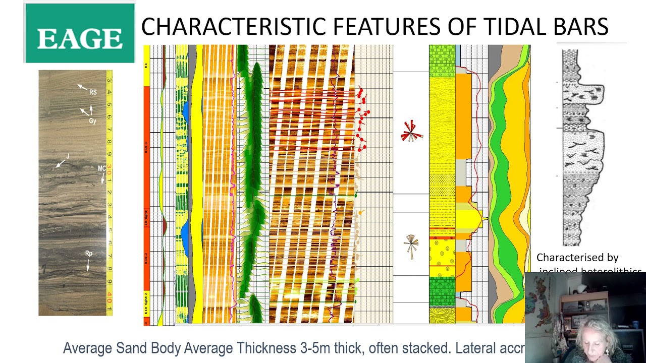 Tidal Channel Reservoir Characterisation using Borehole Images