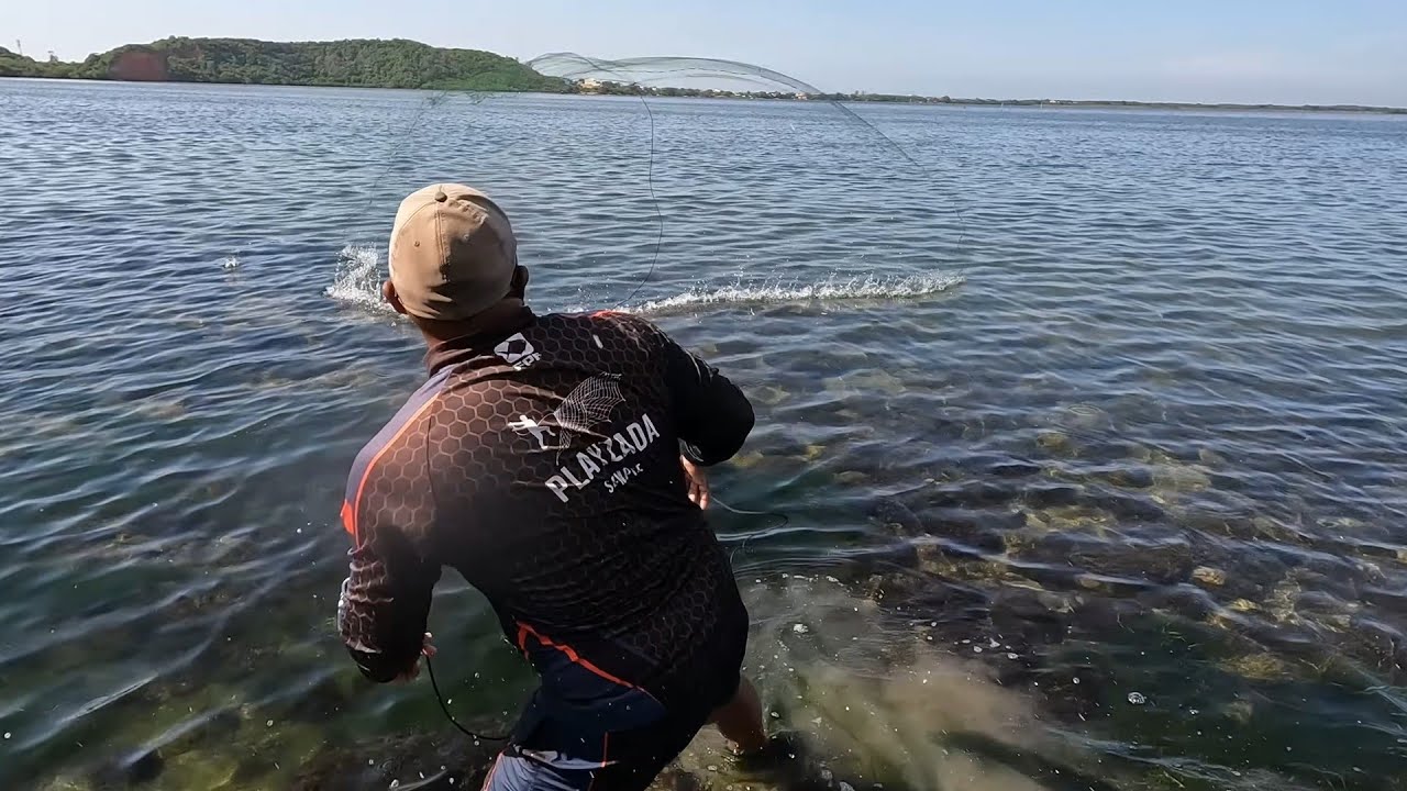 IMPRESSIONANTE a quantidade de peixe nesse lugar .... Usei tarrafa malha 6