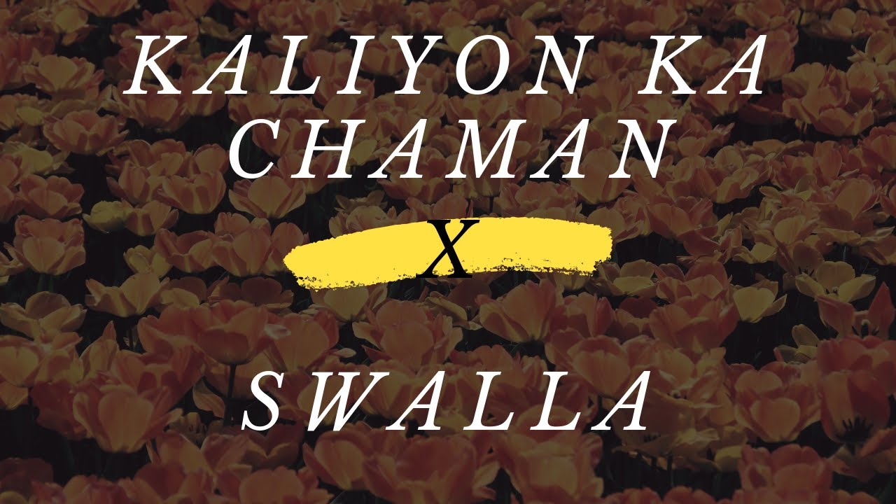 Kaliyon Ka Chaman X Swalla | Dance Mix | Dhruv Kumar