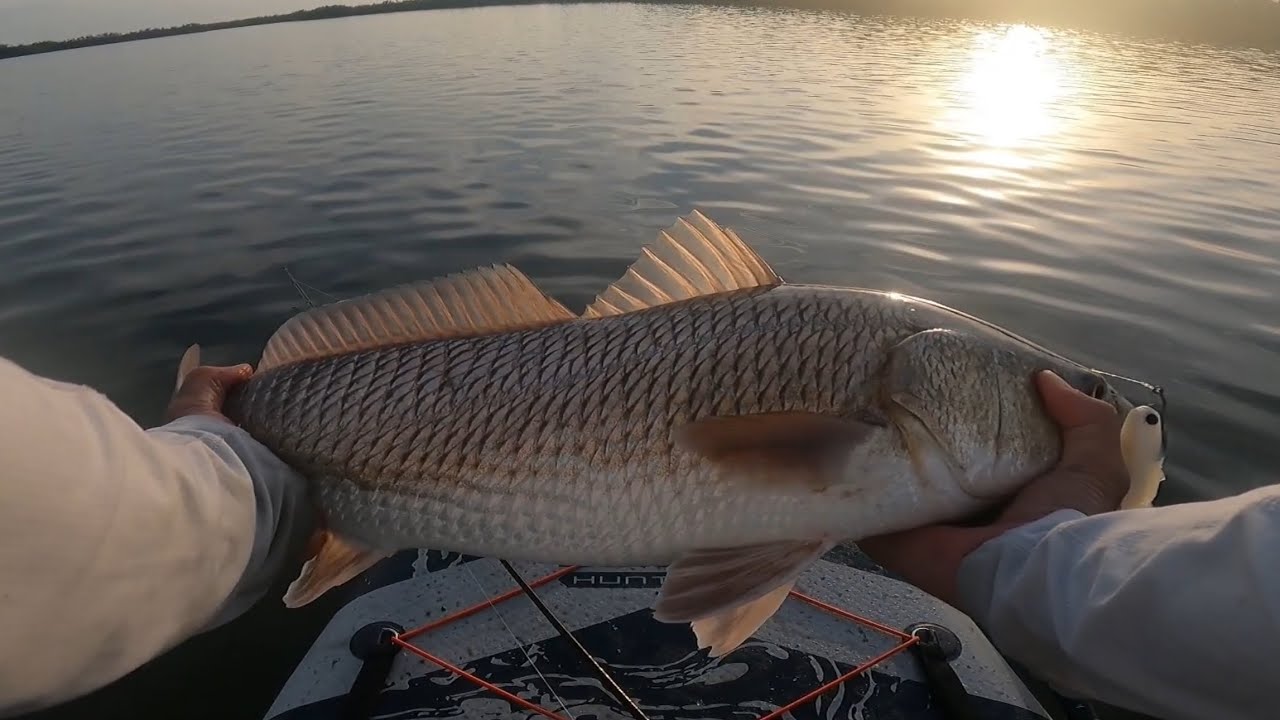 Paddleboard Fishing Mosquito Lagoon!