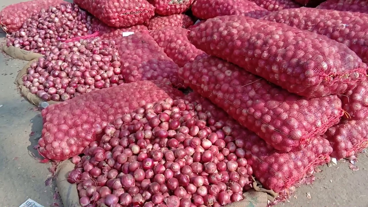 Sabji mandi chakarpur kanpur nagar | onion rate in kanpur | cheap onian market