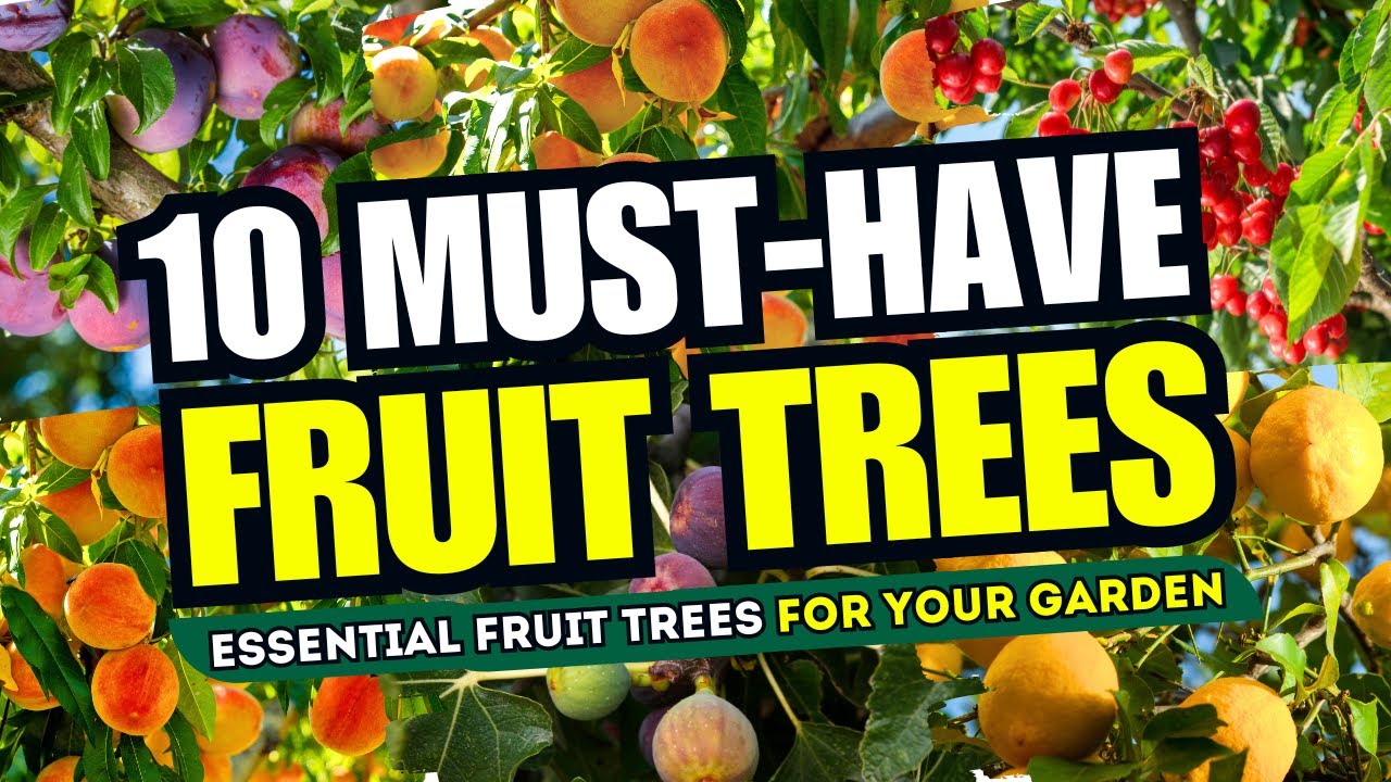 🏡 10 MUST HAVE Fruit Trees for YOUR Garden 🍊🍎 GROW YOUR OWN! 🌳