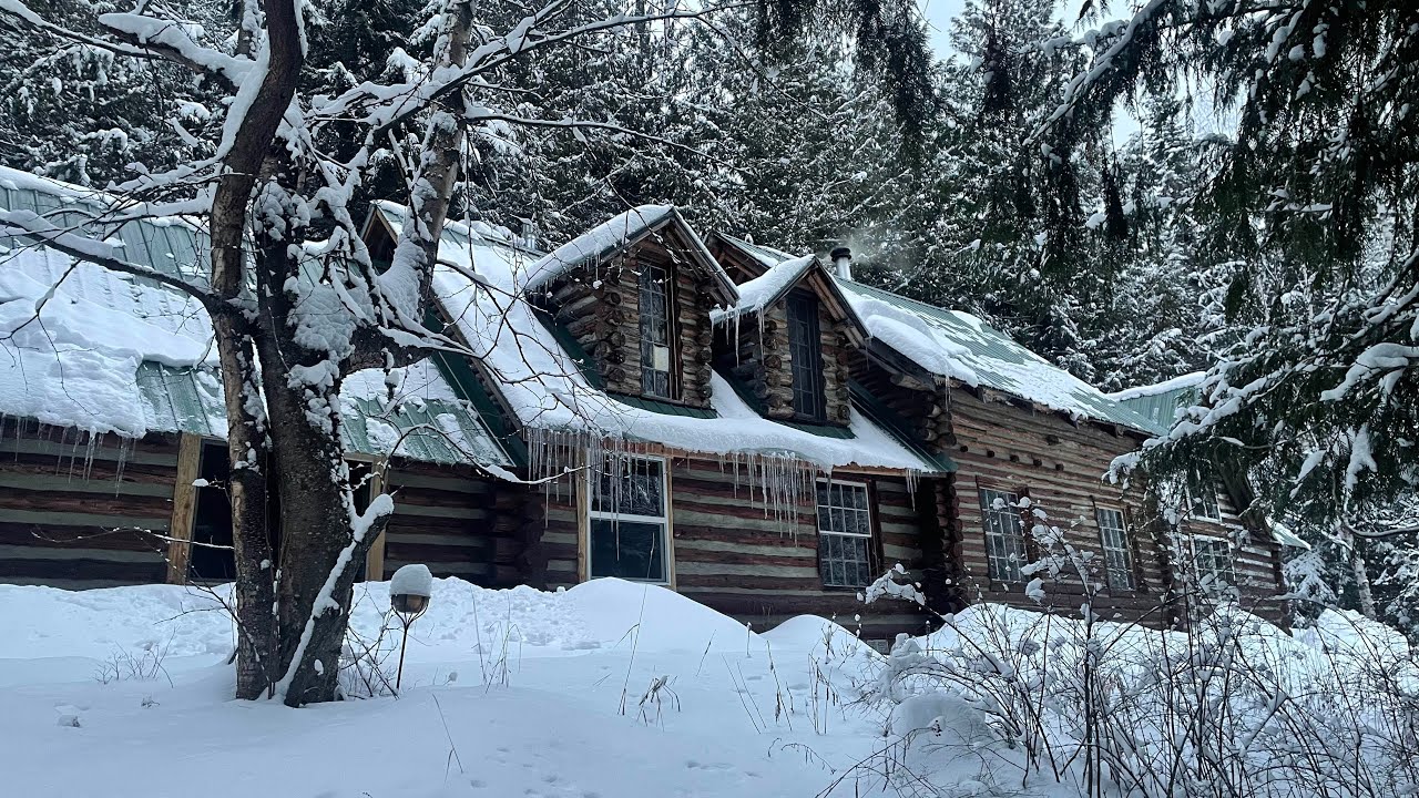 My homestead in the Pacific North West #winter #cabinlife   #homestead #mountainlife