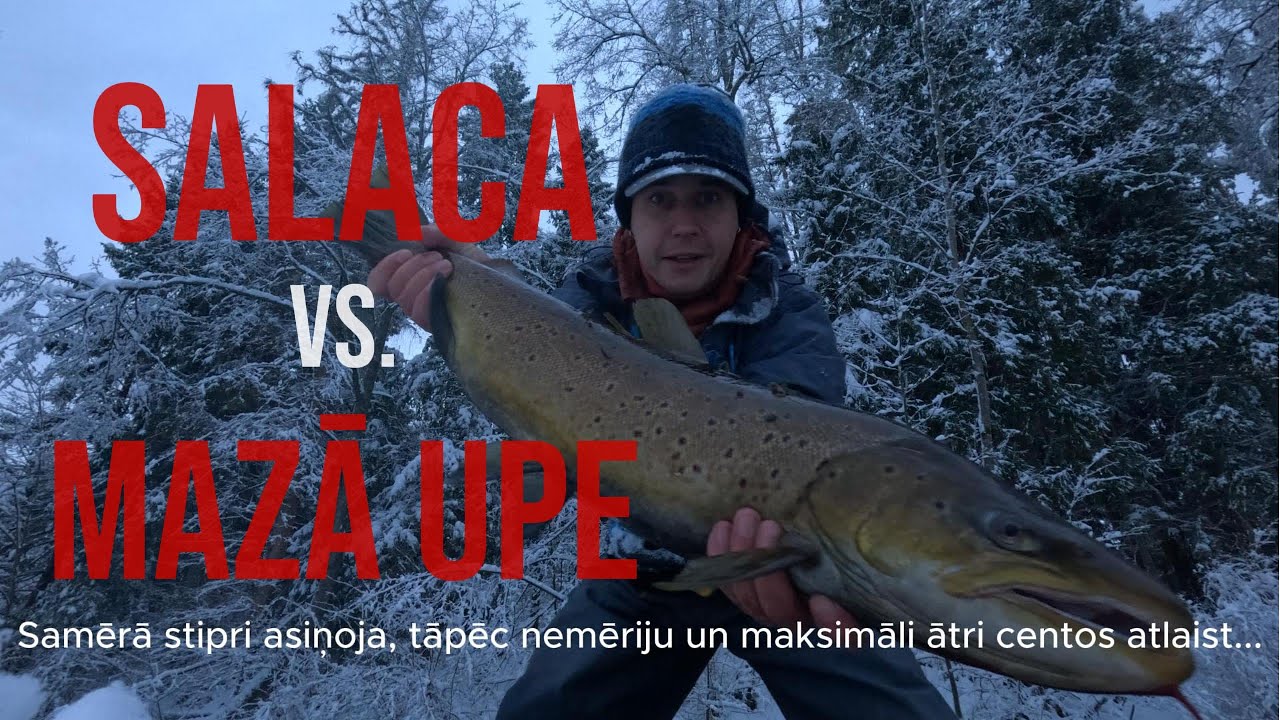 Salaca vs mazā upe, kur atrodu zivis?!