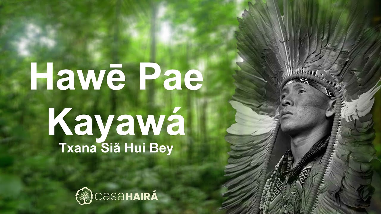 Hawē Pae Kayawá - Txana Siã Hui Bey - Grupo Kayawei - Huni Kuin - Casa Hairá - Ayahuasca