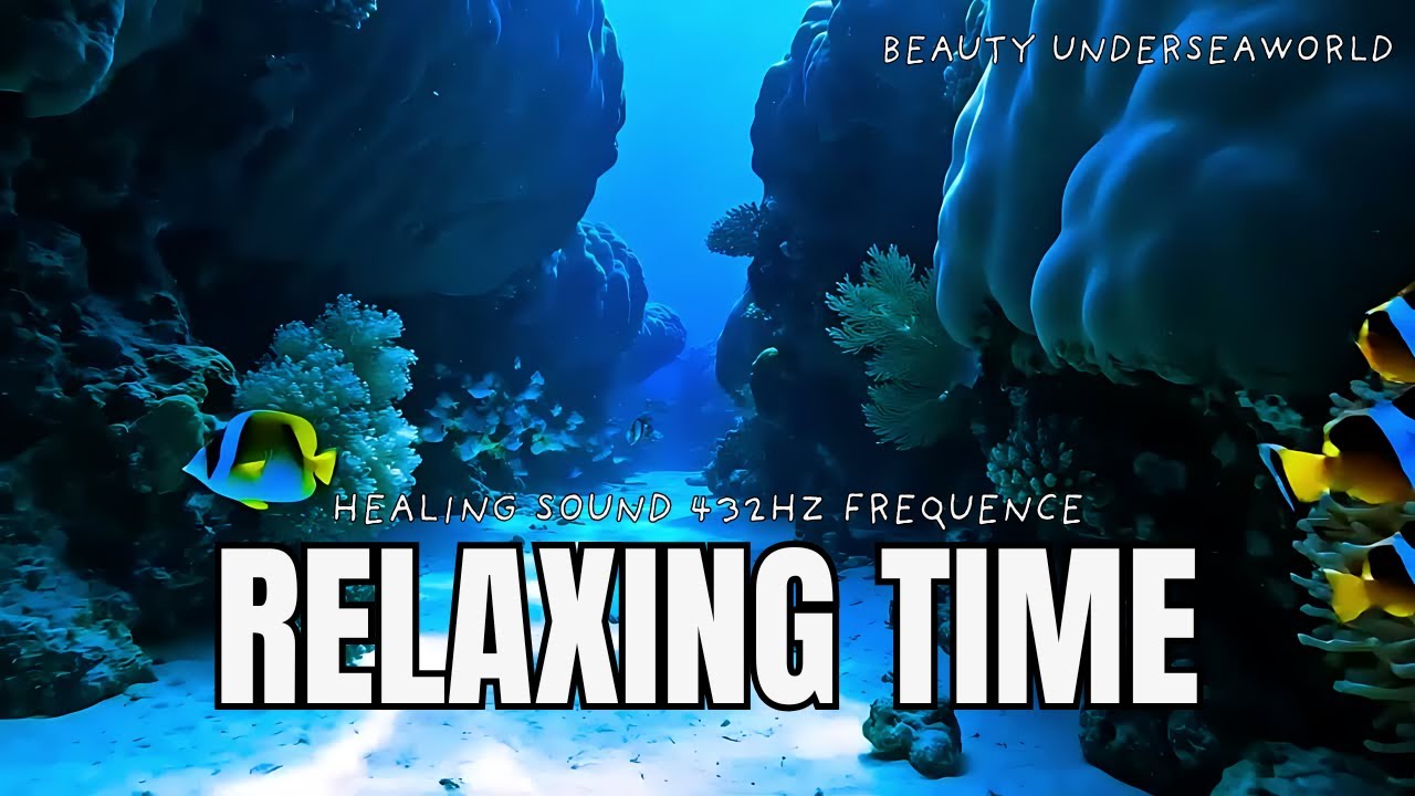 Calm Your Mind 🌊 Peaceful Underwater POV