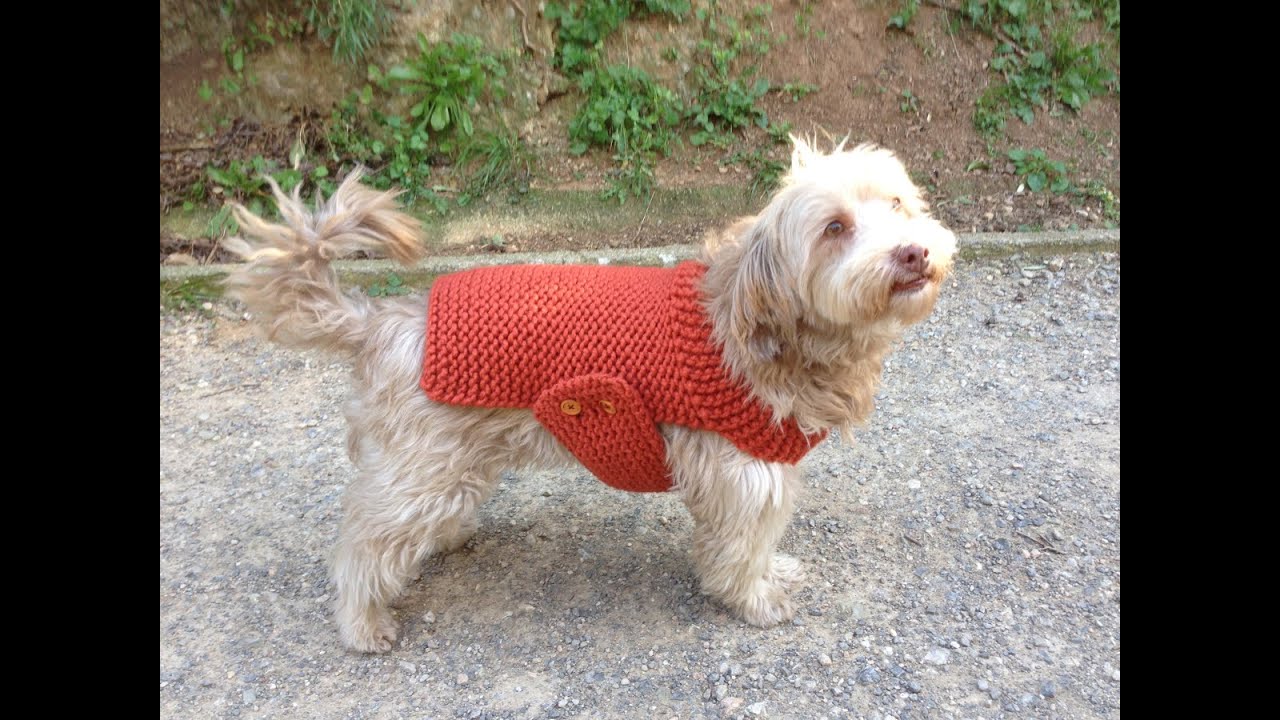 Cómo tejer en telar un jersey para perro (Tutorial DIY)