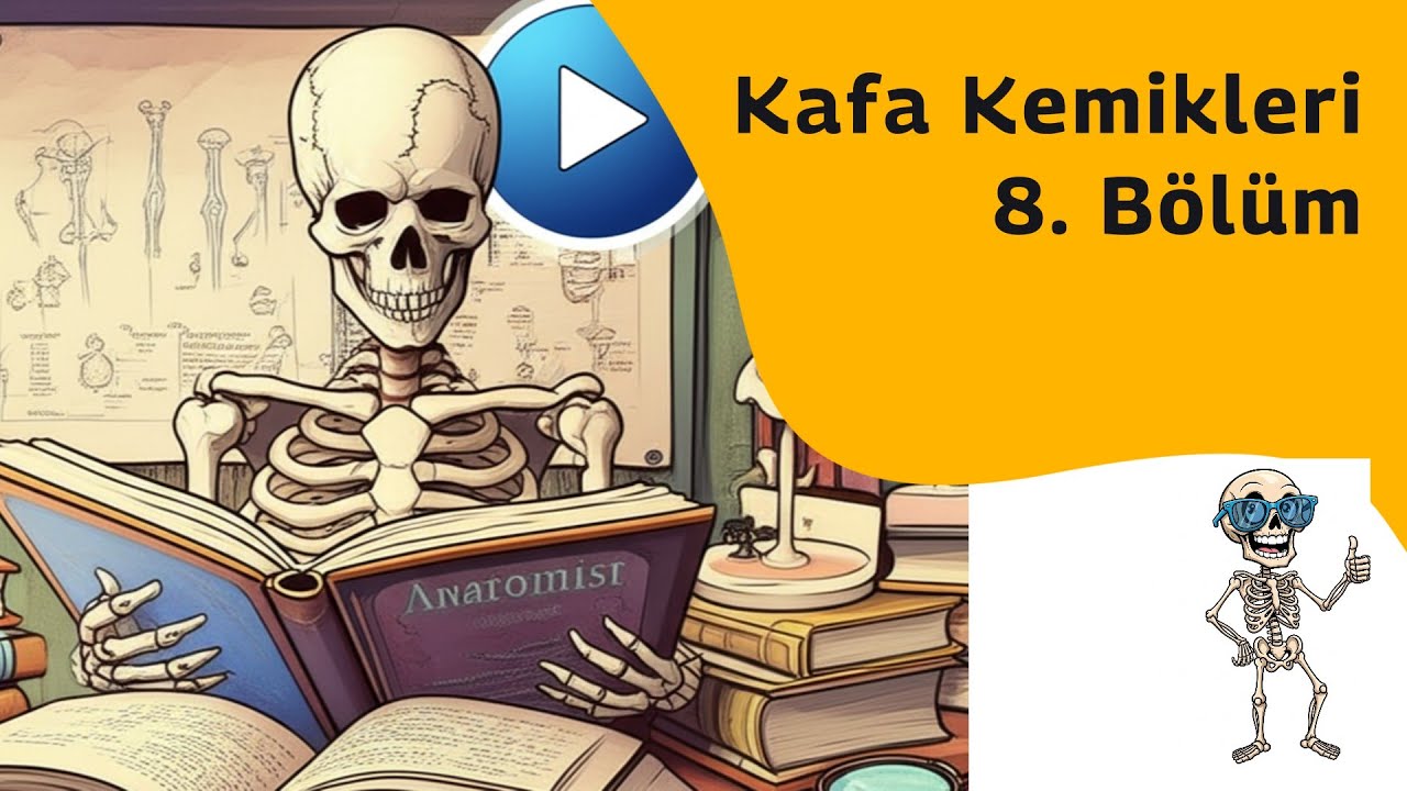 Kafa Kemikleri Bölüm 8 (Os Temporale) [Anatomi Teorik]