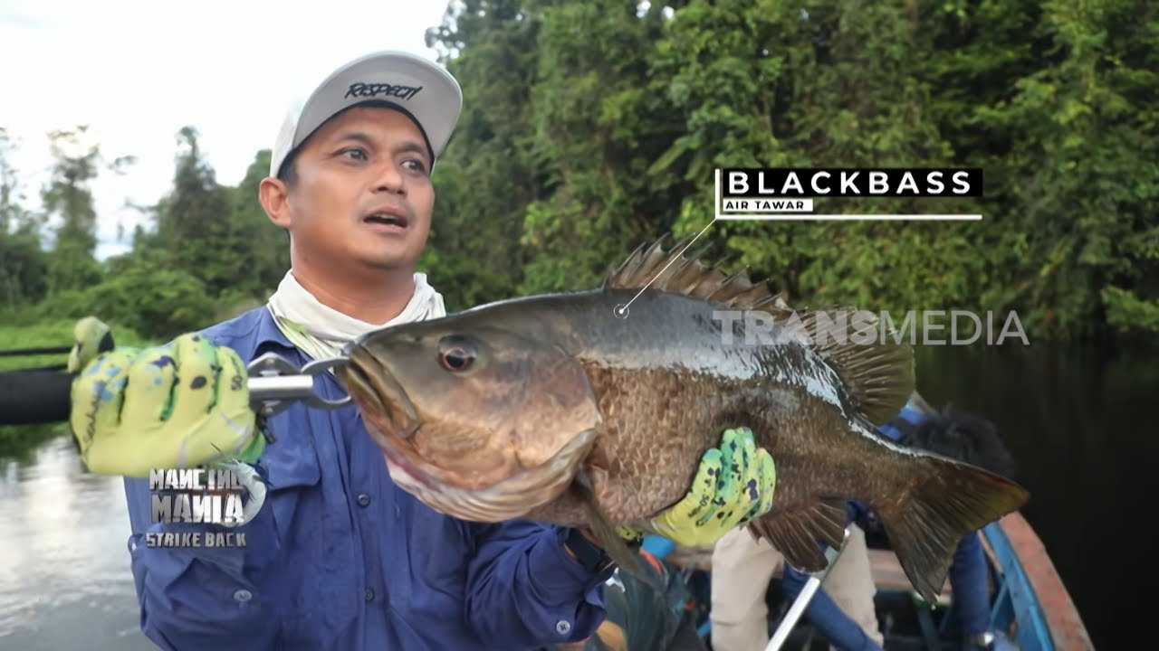 Menaklukkan Sambaran Predator di Sungai Agihe, Nabire | MANCING MANIA STRIKE BACK (01/02/26) Part 1