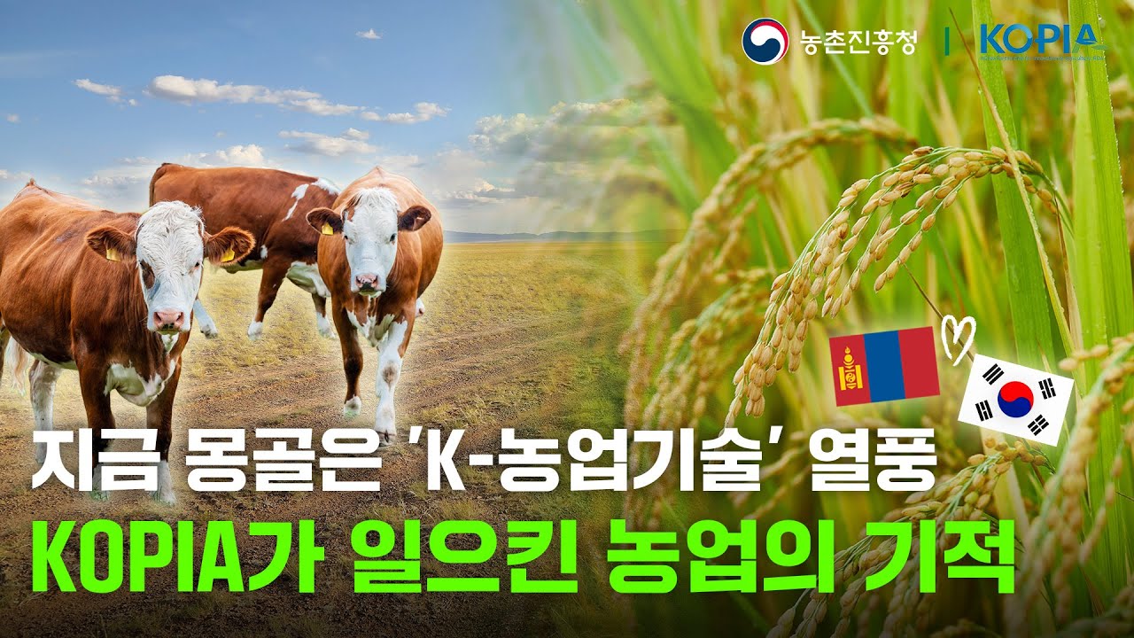 KOPIA 몽골 프로젝트 | 초원에 심은 기술의 씨앗🐮🌾